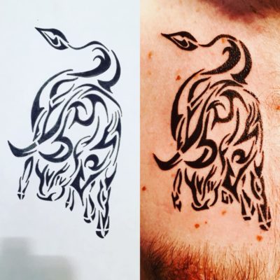 Tattoo taureau maori homme